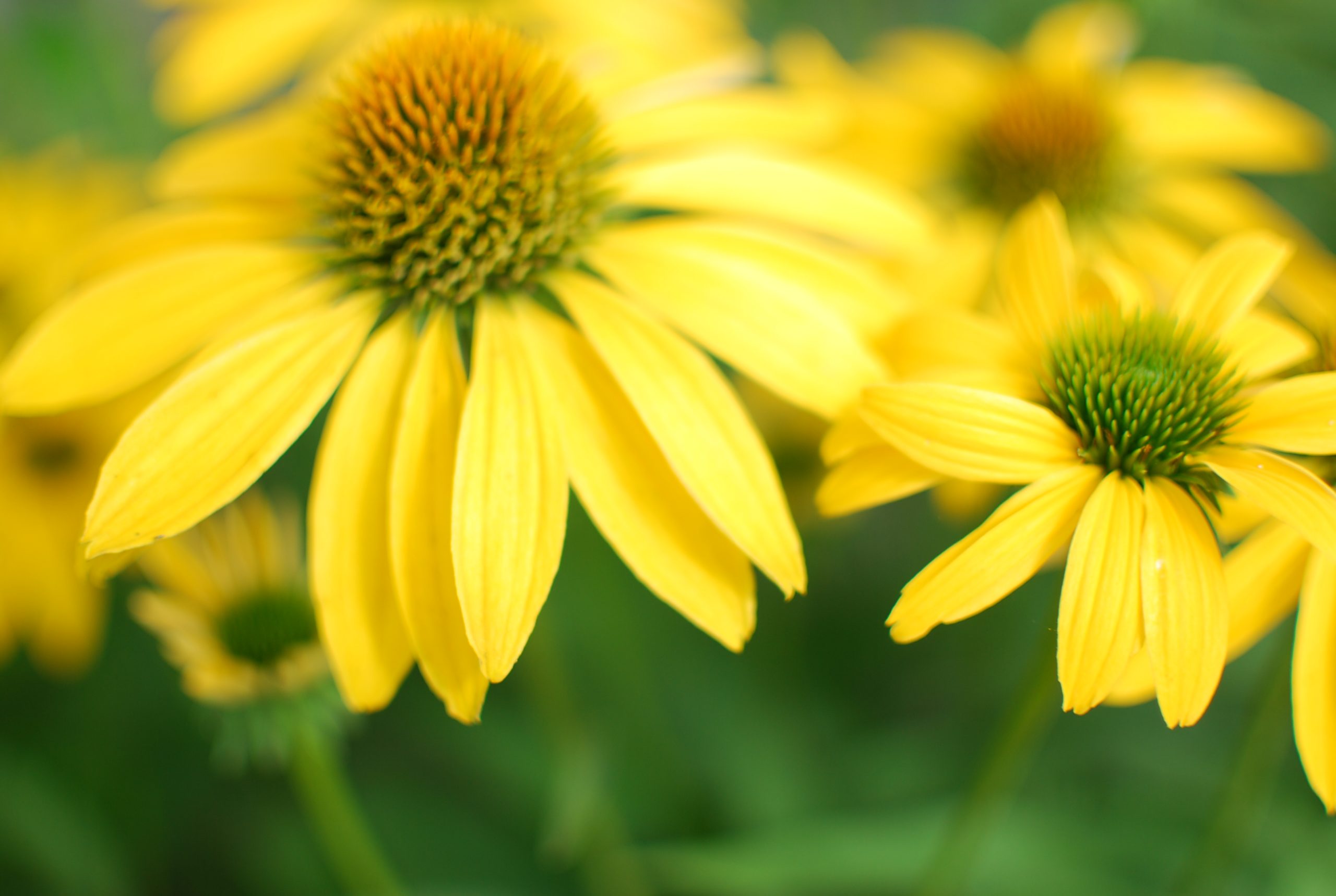 プロフィール背景画像